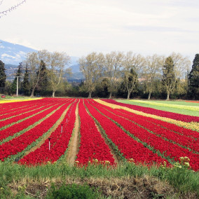 April in Provence (2)