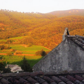 Sablet-sunsets-4