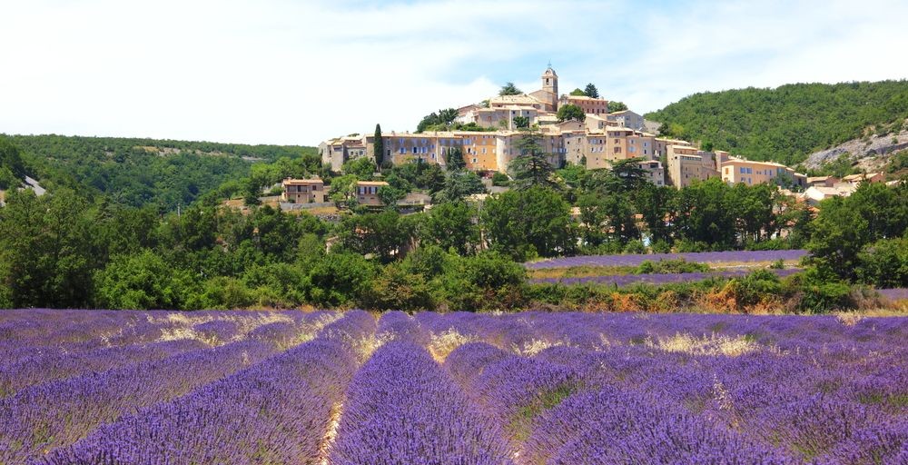 Provence-Lavender-fields-around-the-village-of-Banon-e1335231742569.jpg