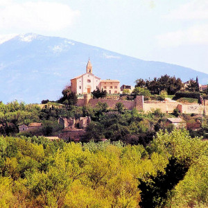 Provence - Cairanne - with Mt. Ventoux in the background