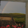 Looking out at the vineyards from the kitchen window at Maison des Pelerins - Sablet - Provence