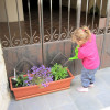  La Petite at work - our little neighbor carefully watering the plants at la Baume des Pelerins - Sablet - Provence