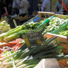 At all markets - Fresh vegetables brought in daily from market gardens in the area