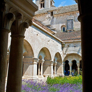 Provence - Abbaye de la Senanque - lavender in the interior courtyard