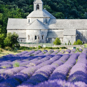 Provence - Abbaye de la Senanque