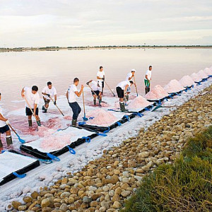 The Camargue in Provence - Salt gatherers in the Camargue gathering the pink tinged Fleur de Sel - a delicate salt from this area The Camargue in Provence - Salt gatherers in the Camargue gathering the pink tinged Fleur de Sel - a delicate salt from this area