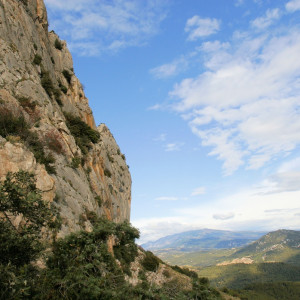 Breathtaking views while climbing the Dentelles de Montmirail 