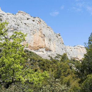 Hiking amongst the vines and trees a the base of the Dentelles de Montmirail