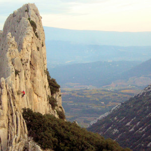 The Dentelles de Montmirail - can you see the small red speck climbing the rock face? The Dentelles de Montmirail - can you see the small red speck climbing the rock face?