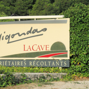 Provence - Gigondas - An invitation to taste the well known wines of this area 