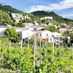 Provence - Gigondas - in the Pays des Dentelles