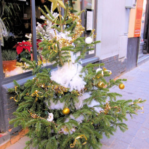 Provence - Isle sur la Sorgue - Pretty Christmas tree decorates the sidewalk