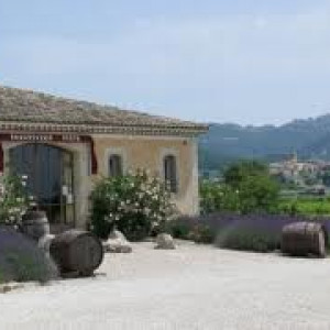 Provence - Les Genets - Sablet