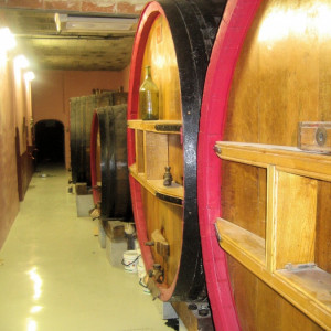 The wine ages in these beautiful oak barrels at a local winery
