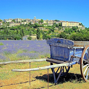 Provence - Sault - Village view from the Lavender Fields