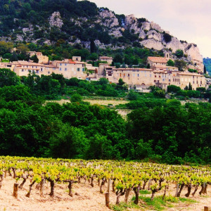 Like a belt aroung the midpoint of the hills, the village of Seguret hugs to the hillside above a sea of vines