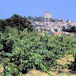 Chateauneuf du Pape - village across the vineyards