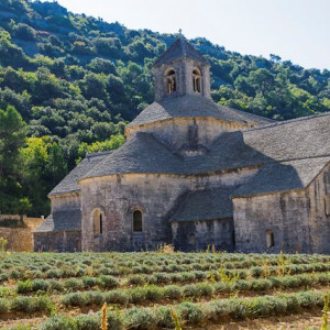 Abbaye de Senanque.  An easy drive from Sablet near Gordes and Rousillon. By Dave Condeff