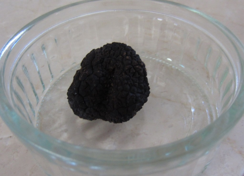 Truffles from the Luberon