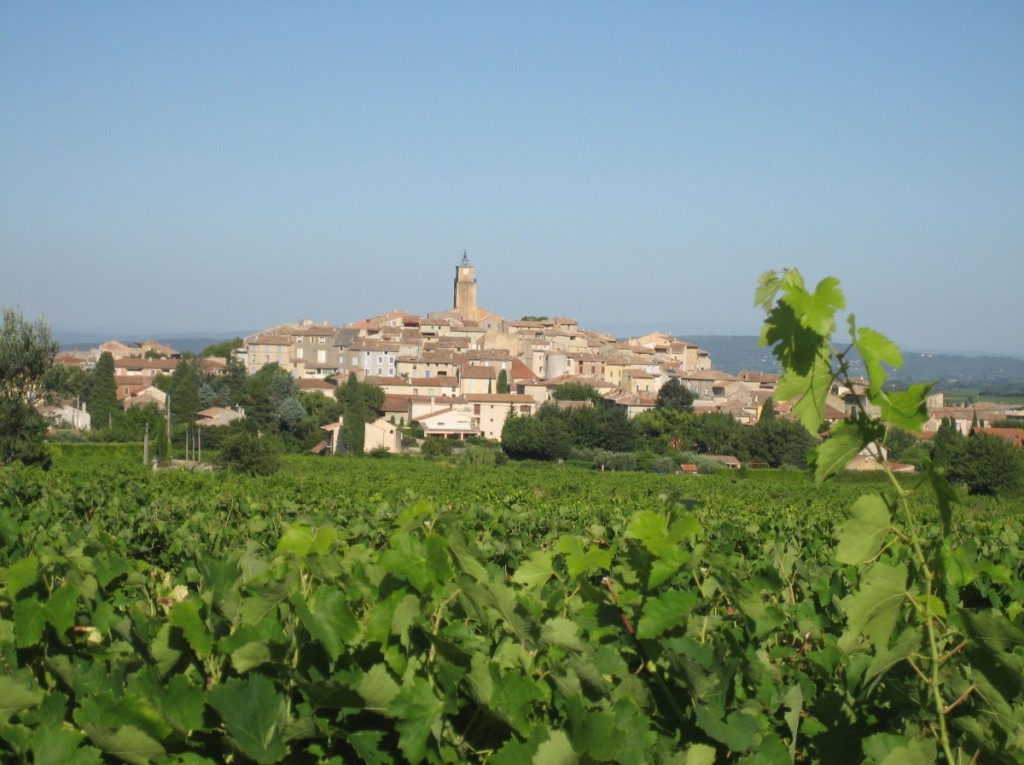 A walk through the vineyards surrounding Sablet